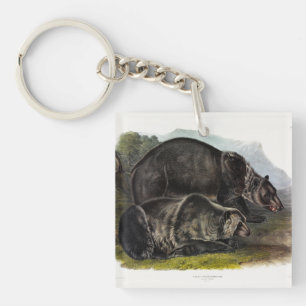 Grizzly Bear (North American Brown Bear) - Audubon Key Ring