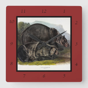 Grizzly Bear (North American Brown Bear) - Audubon Square Wall Clock