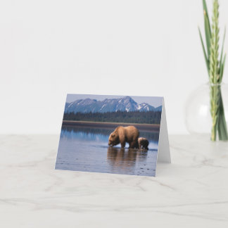Grizzly Bear Notecard