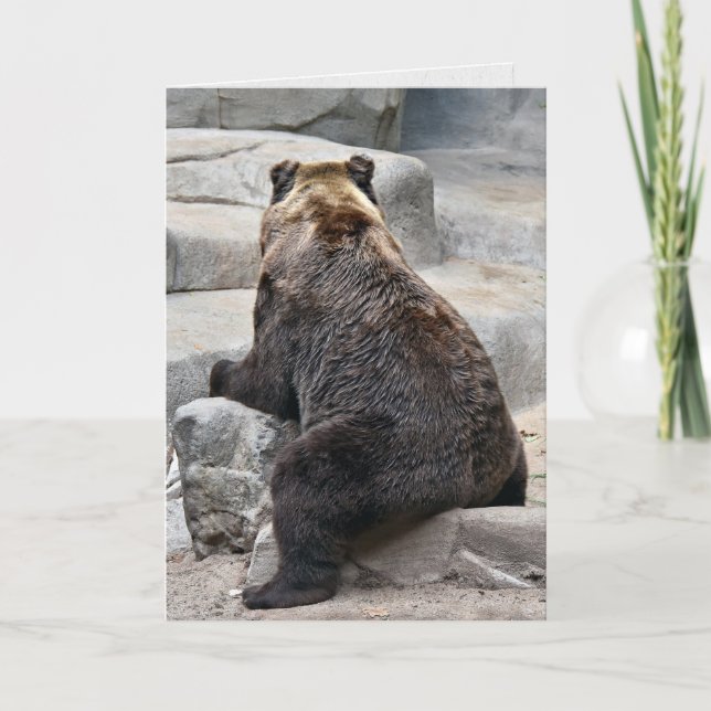 Grizzly Bear on rock birthday humour Card (Front)