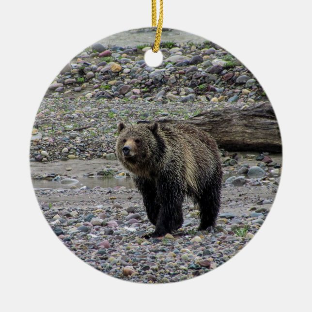 Grizzly Bear Ornament (Front)