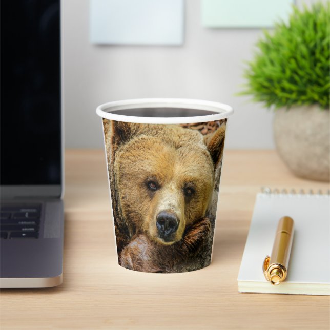 Grizzly Bear Paper Cups (Insitu)