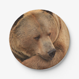 Grizzly Bear Paper Plates