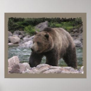 Grizzly Bear - Pastels Poster