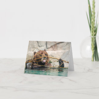 Grizzly Bear Playing in the Water Thank You Card