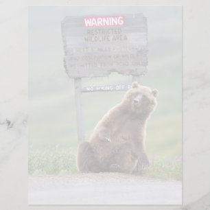 Grizzly Bear Plays With Sign