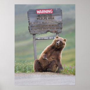 Grizzly Bear Plays With Sign