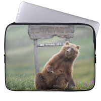 Grizzly Bear Plays With Sign