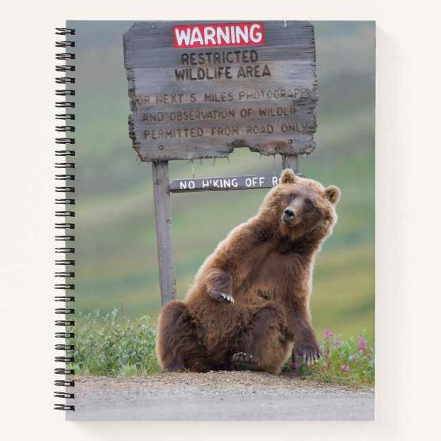 Grizzly Bear Plays With Sign Notebook (Front)