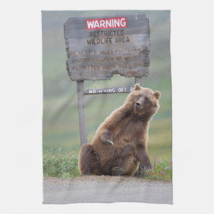 Grizzly Bear Plays With Sign Tea Towel