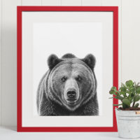 Grizzly Bear Portrait Woodland Black white