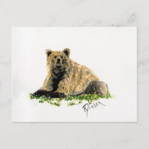 Grizzly Bear Post Card