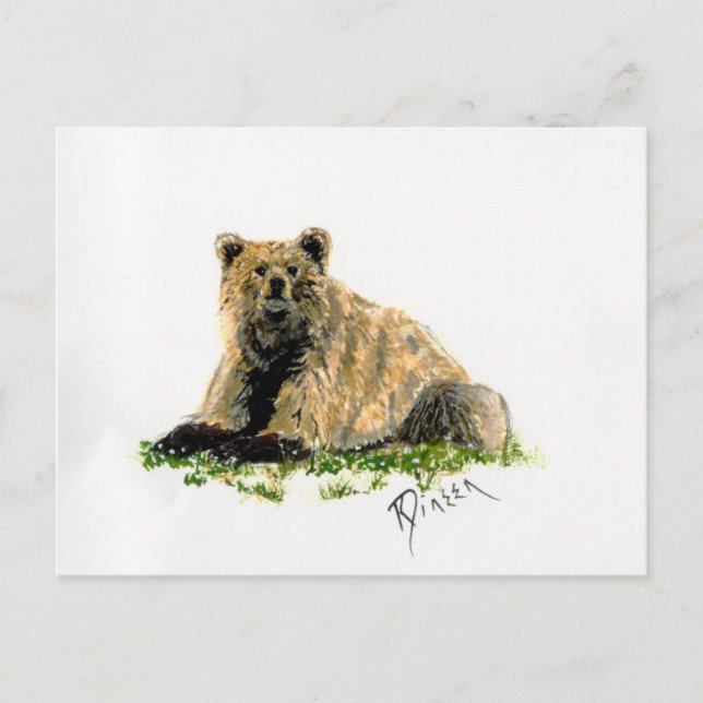 Grizzly Bear Post Card (Front)