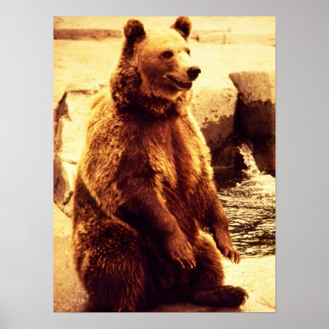 grizzly bear print (Front)