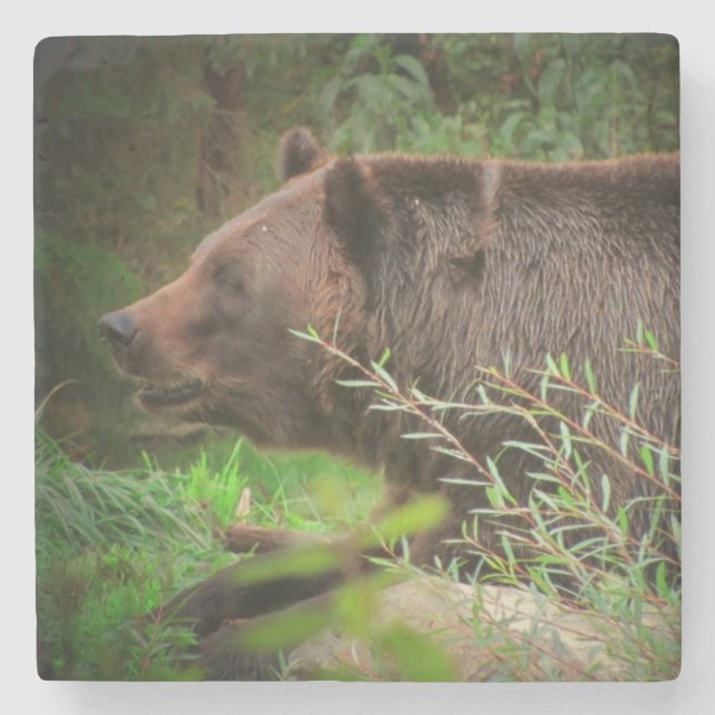 Grizzly Bear Profile Stone Coaster (Front)
