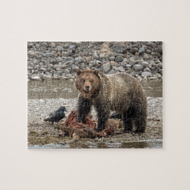 Grizzly Bear Puzzle (Horizontal)