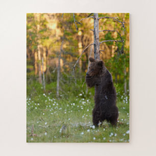 Grizzly bear puzzle