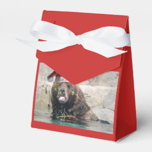 Grizzly Bear Santa Claus Favour Box