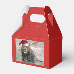 Grizzly Bear Santa Claus Favour Box