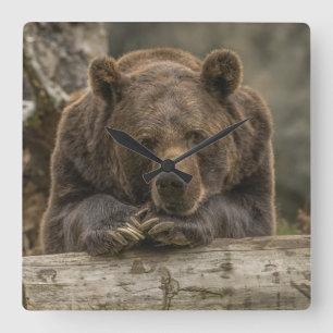 Grizzly Bear Square Wall Clock