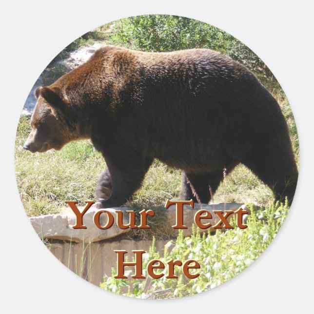 Grizzly Bear Stickers (Front)