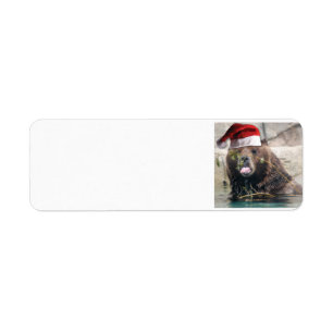 Grizzly Bear Wearing a Santa Claus Hat Return Address Label