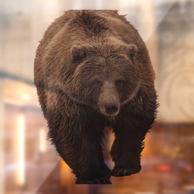 GRIZZLY BEAR WINDOW CLING (Sheet 2)