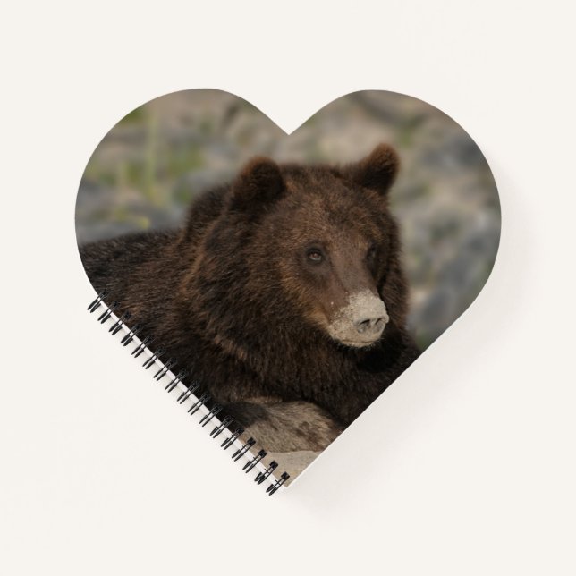 Grizzly Bear With A Sandy Nose Canvas Print Notebook (Front)