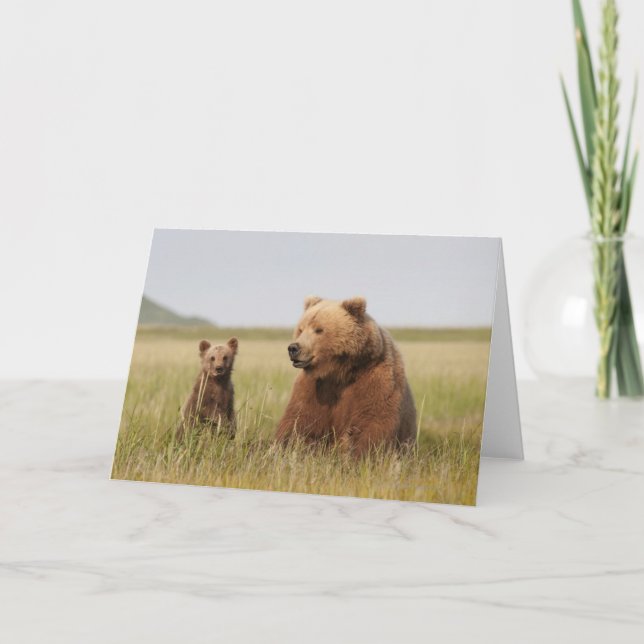 Grizzly Bear with Cub Card (Front)