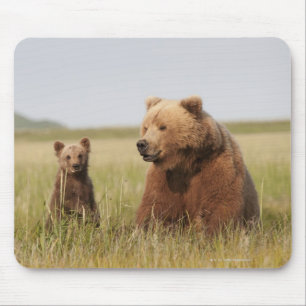 Grizzly Bear with Cub Mouse Pad