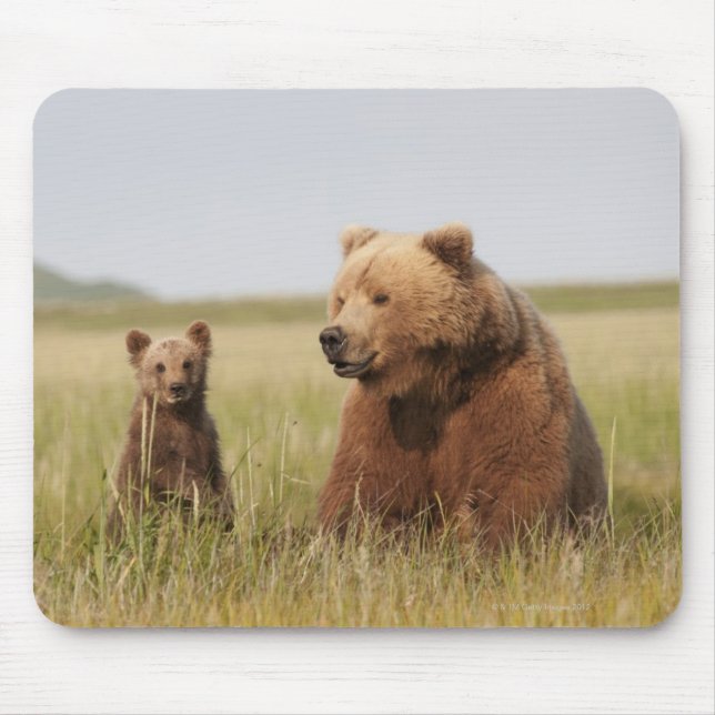 Grizzly Bear with Cub Mouse Pad (Front)