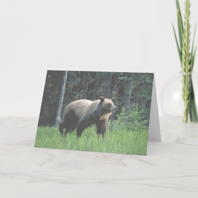 Grizzly Bear Woods Card (Front)