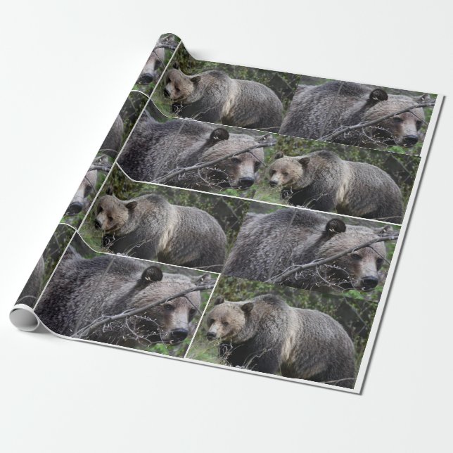 Grizzly Bear Wrapping Paper (Unrolled)