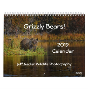 Grizzly Bears - 2019 Wall Calendar