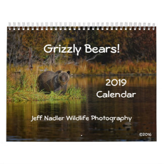 Grizzly Bears - 2019 Wall Calendar