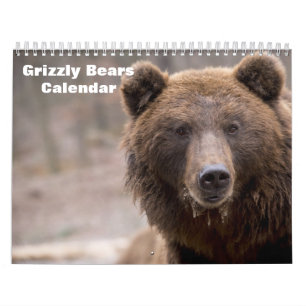 Grizzly Bears 2025 Calendar
