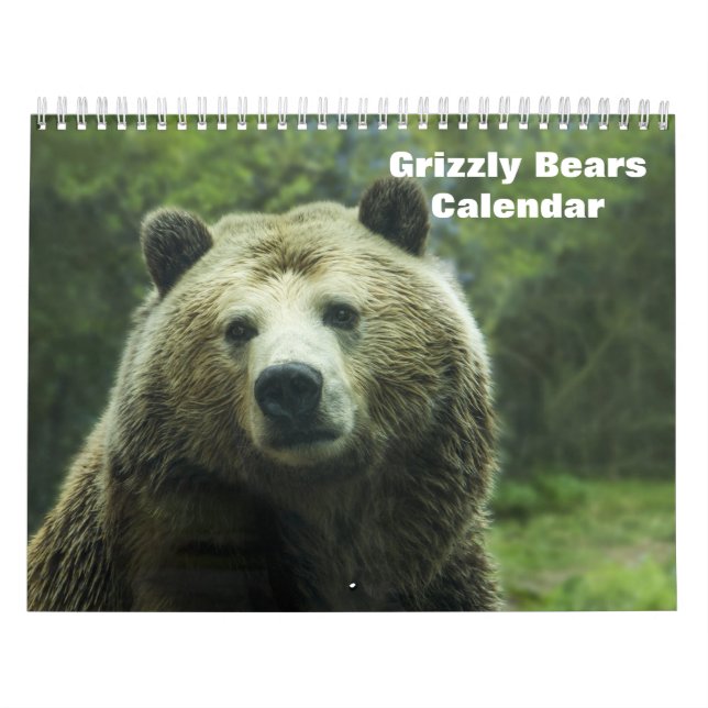 Grizzly Bears 2026 Calendar (Cover)