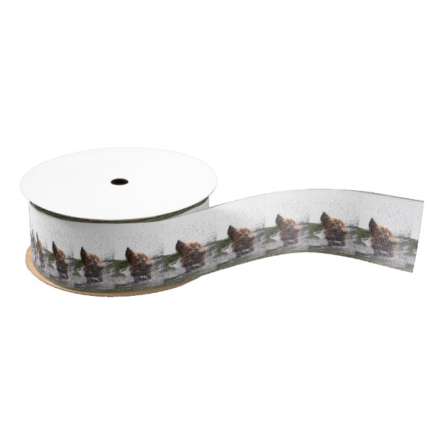 grizzly bears grosgrain ribbon (Spool)