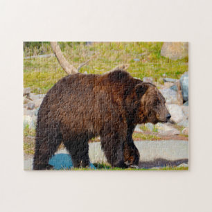 Grizzly Bears Montana. Jigsaw Puzzle