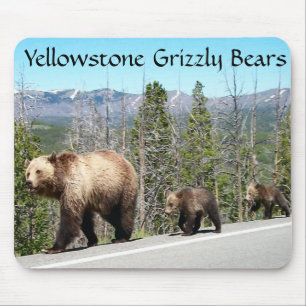 Grizzly Bears of Yellowstone Mouse Pad
