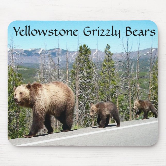 Grizzly Bears of Yellowstone Mouse Pad (Front)
