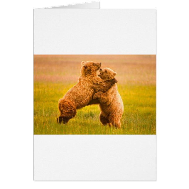 Grizzly Bears Wrestling (Front)