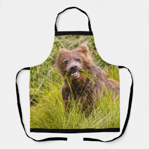 Grizzly cub grazing, Alaska Apron