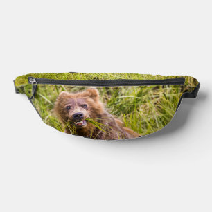 Grizzly cub grazing, Alaska Bum Bags