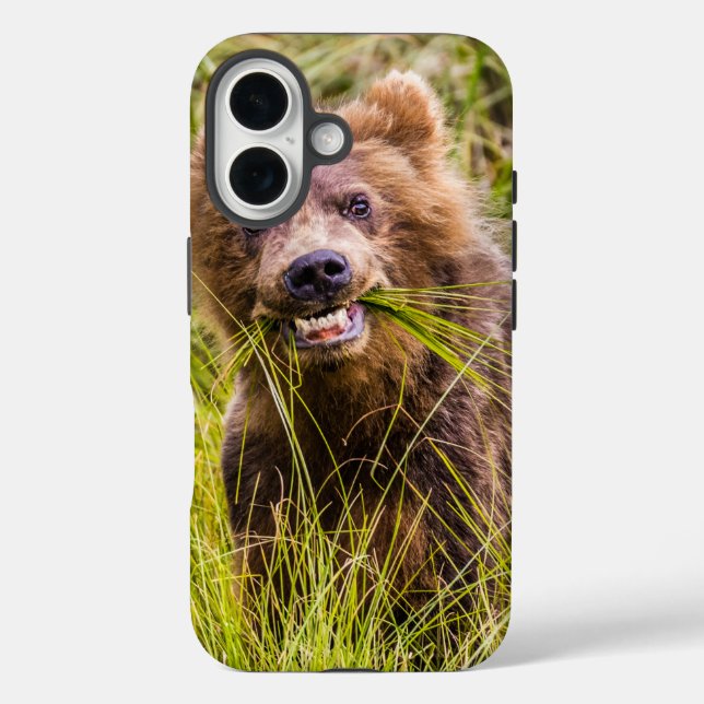 Grizzly cub grazing, Alaska Case-Mate iPhone Case (Back)