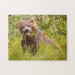 Grizzly cub grazing, Alaska Jigsaw Puzzle