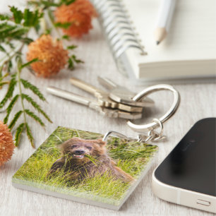 Grizzly cub grazing, Alaska Key Ring
