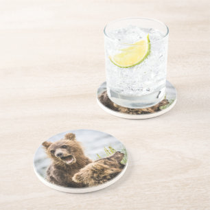 Grizzly Cubs Looking For Their Mum Coaster