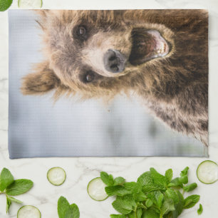 Grizzly Cubs Looking For Their Mum Tea Towel