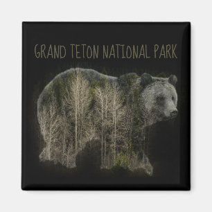 Grizzly Forest Grand Teton National Park Magnet